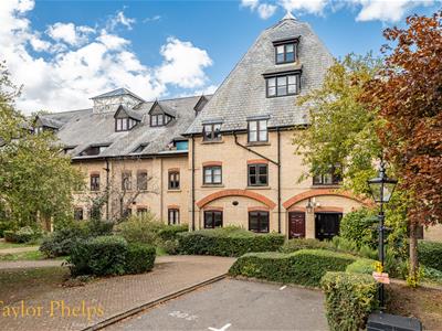 Picture 12
